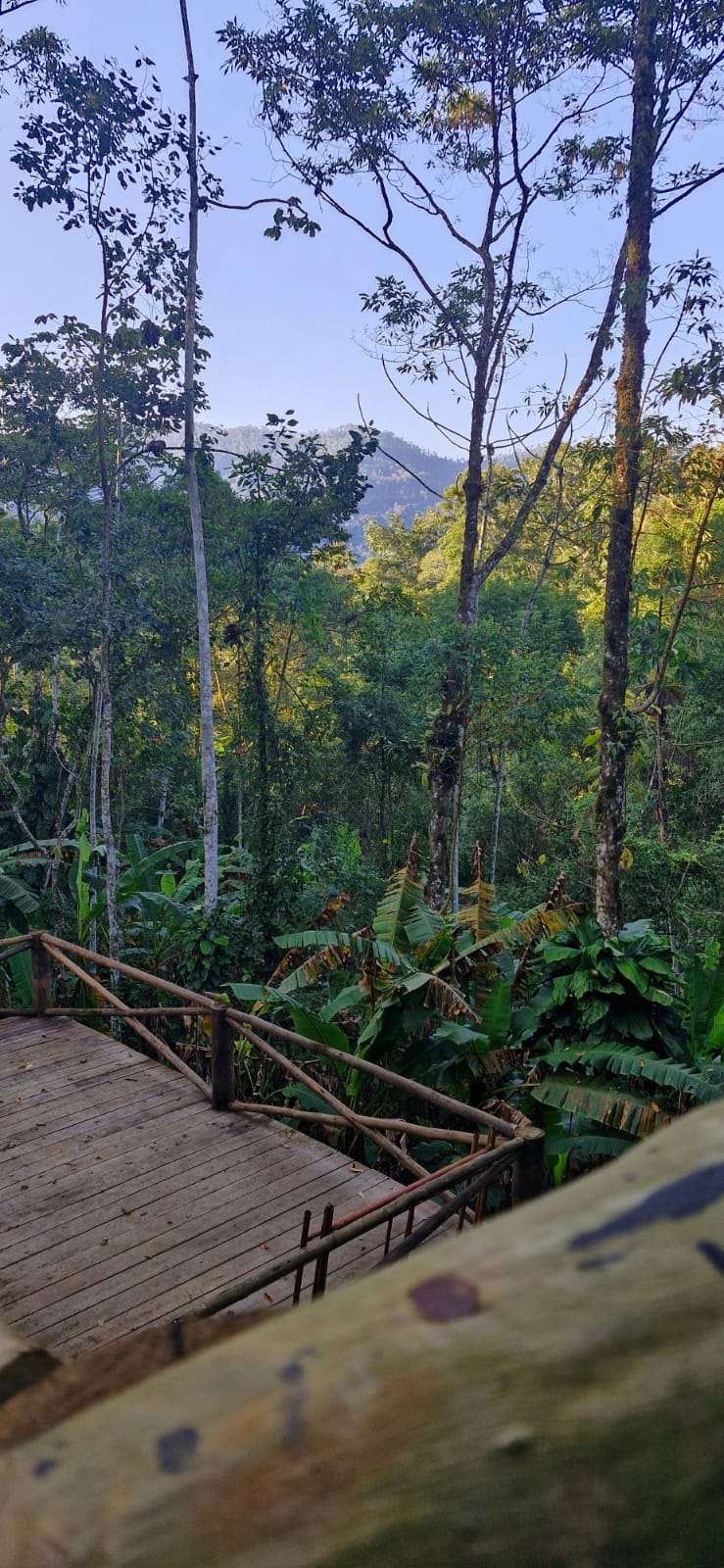 Chalé rústico à venda em Ubatumirim, Ubatuba SP – vista frontal do conjunto